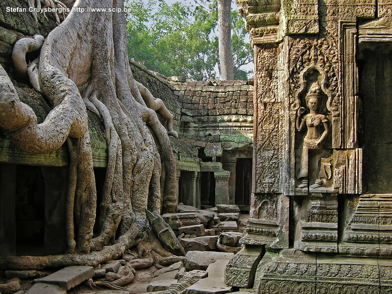 Angkor - Ta Phrom Ta Phrom is een van de favoriete monumenten in Angkor. De tempel verkeert nog in dezelfde staat als toen men het gebouw in 1860 aantrof. De gigantische boomwortels hebben de gebouwen volledig in hun greep. Stefan Cruysberghs